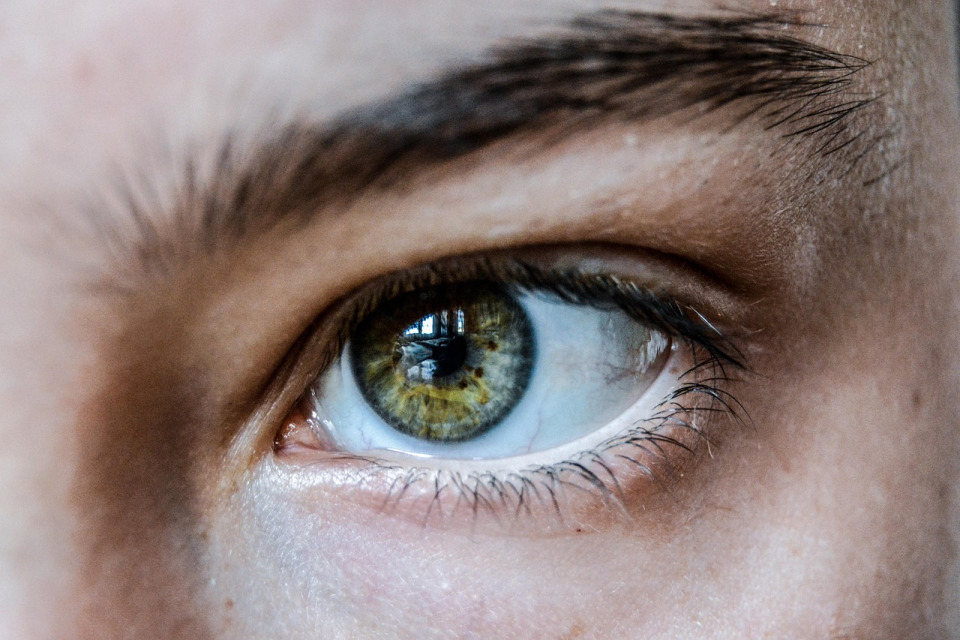 lash lift close-up